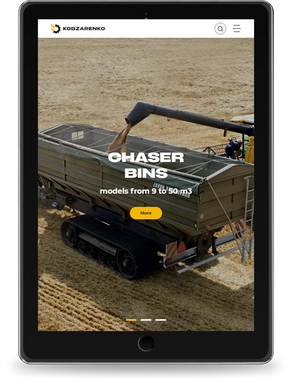 Kobzarenko International